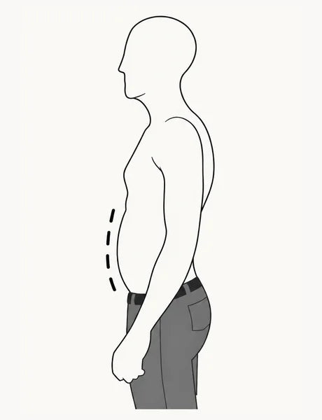 Medium stomach, side profile