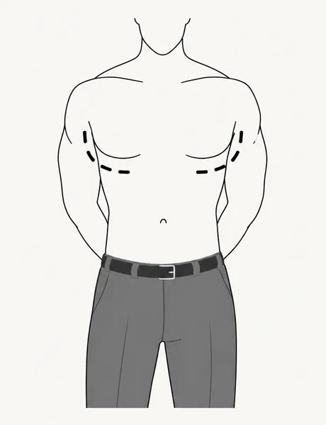 Muscular torso, front view